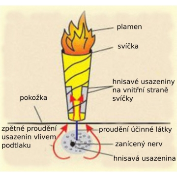 TÁDÉ ušní svíčka - ČAJOVNÍK