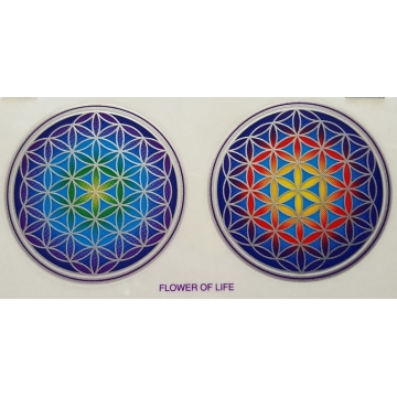 Mandala Sunlight FLOWER OF LIFE